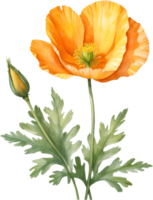 AI generated Watercolor wildflower clipart, AI-Generated. png