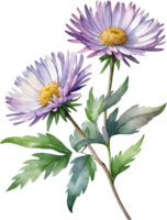 ai généré aquarelle fleurs sauvages clipart, ai-généré. png