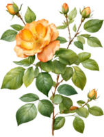 ai generado acuarela flor silvestre clipart, ai-generado. png