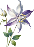 ai généré aquarelle fleurs sauvages clipart, ai-généré. png