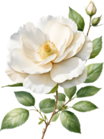 ai generado acuarela flor silvestre clipart, ai-generado. png