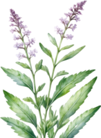 ai generado acuarela flor silvestre clipart, ai-generado. png