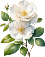 ai généré aquarelle fleurs sauvages clipart, ai-généré. png