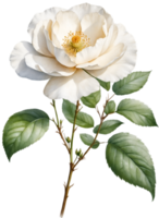 ai generado acuarela flor silvestre clipart, ai-generado. png