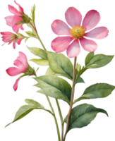 AI generated Watercolor wildflower clipart, AI-Generated. png