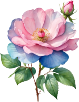 AI generated Watercolor wildflower clipart, AI-Generated. png