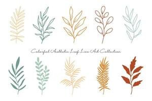 Aesthetic Leaf Line Art Collection vector