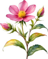 AI generated Watercolor wildflower clipart, AI-Generated. png