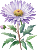 ai generiert Aquarell Wildblume Clip Art, KI-generiert. png