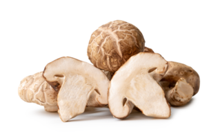 Fresh and dry shiitake mushrooms in stack isolated with clipping path and shadow in png file format. Japanese and Chinese herb