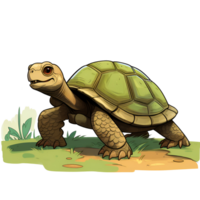 AI generated Artistic Style Tortoise Turtle Illustration Cartoon Style Painting Drawing No Background Perfect for Print on Demand Merchandise AI Generative png