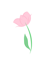 a pink flower with green leaves on a transparent background png