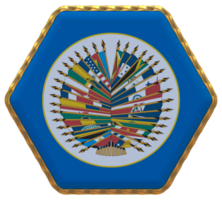 organização do americano estados, oas bandeira dentro hexágono forma com ouro fronteira, colisão textura, 3d Renderização png