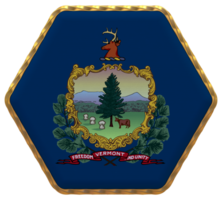 State of Vermont Flag in Hexagon Shape with Gold Border, Bump Texture, 3D Rendering png