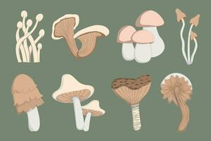 vector design with various shapes of wild mushrooms