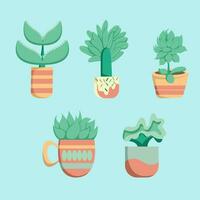 Flat design succulent plants vector