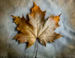 ai generado otoño arce hojas antecedentes. foto