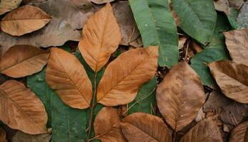 dry leaves in autumn. AI Generative photo