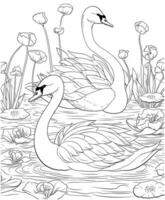 Swan on the river coloring pages vector