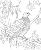 turkey coloring page line art vector