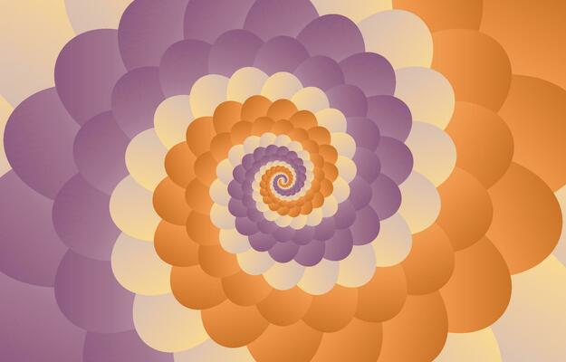 Fibonacci Pattern Vector Art Icons And Graphics For Free Download Fibonacci Pattern Vector Art Icons And Graphics For Free Download