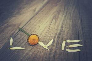 love inscription made of white flower petals on a wooden background photo