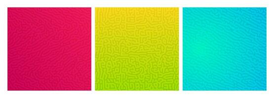 Set of three colorful turing reaction gradient backgrounds. Abstract diffusion pattern with chaotic shapes. Vector illustration.