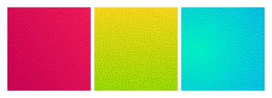 Set of three colorful turing reaction gradient backgrounds. Abstract diffusion pattern with chaotic shapes. Vector illustration.