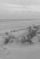 wangerooge island in germany photo