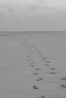 isla de wangerooge en alemania foto