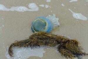 the island of Wangerooge photo