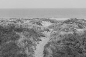 the island of Wangerooge photo