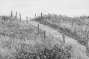 la isla de wangerooge foto