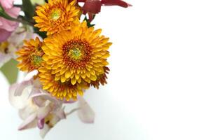 Colorful flower bouquet arrangement isolated photo