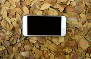 Blank white smartphone screen on dry leaves photo