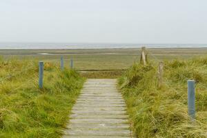 wangerooge island in germany photo