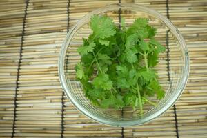 Coriander placed in a transparent cup photo