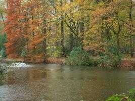 autumn time in a german forest photo