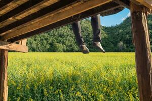 Tourist relaxing and hanging leg on wood terrace in plantation photo