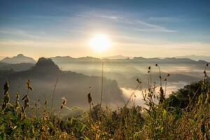 Scenic landscape meadow on fog hill in morning photo