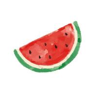 Watercolor watermelon illustration vector