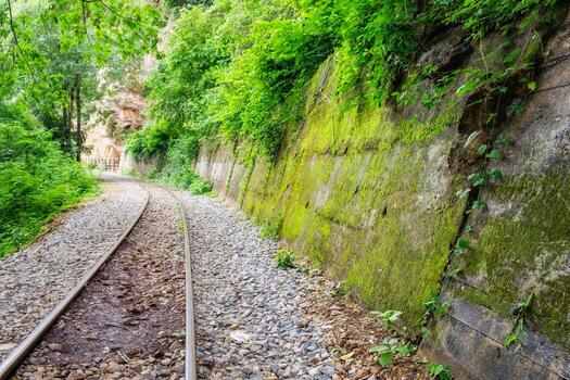 ferrocarril pista en verde tropical selva foto