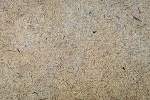 Plywood rough dark brown texture photo