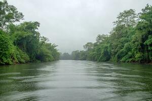 Green jungle river moist air in sai yok photo