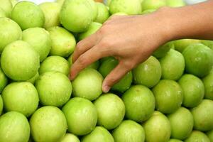 monkey apple fruit photo