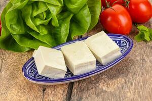Greek traditional Feta cheese in the plate photo