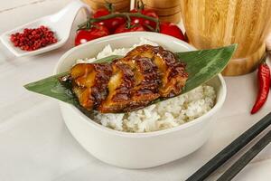 Grilled eel with steamed rice photo