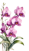 ai generado acuarela orquídea flores en transparente antecedentes ai generativo png