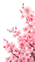 AI generated cherry blossom flower ai generative png