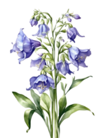 AI generated bluebells watercolor illustration, png ai generative